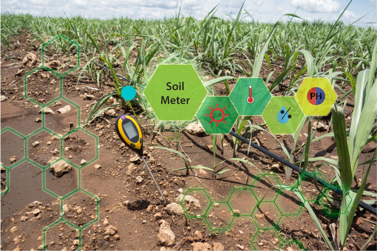 Digital Facility Agriculture Solution