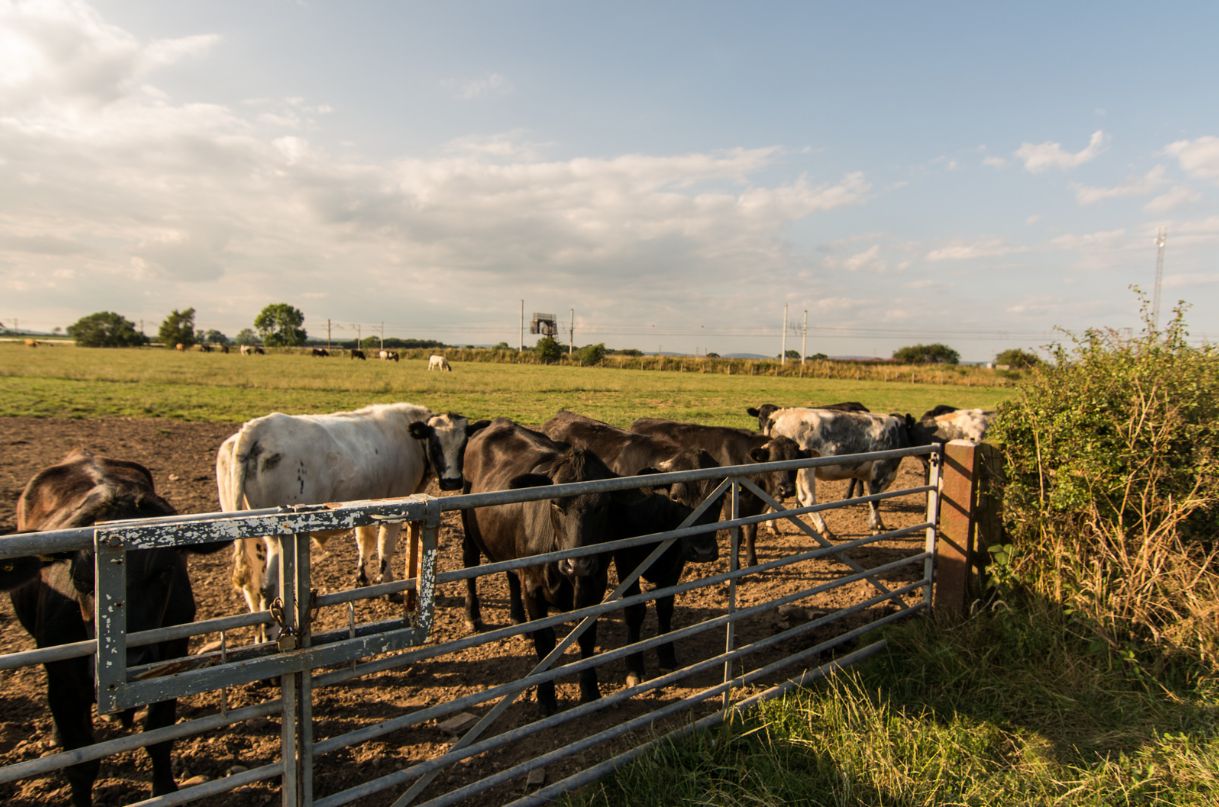 Unmanned Farm Solution